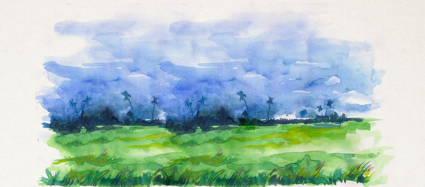 banner